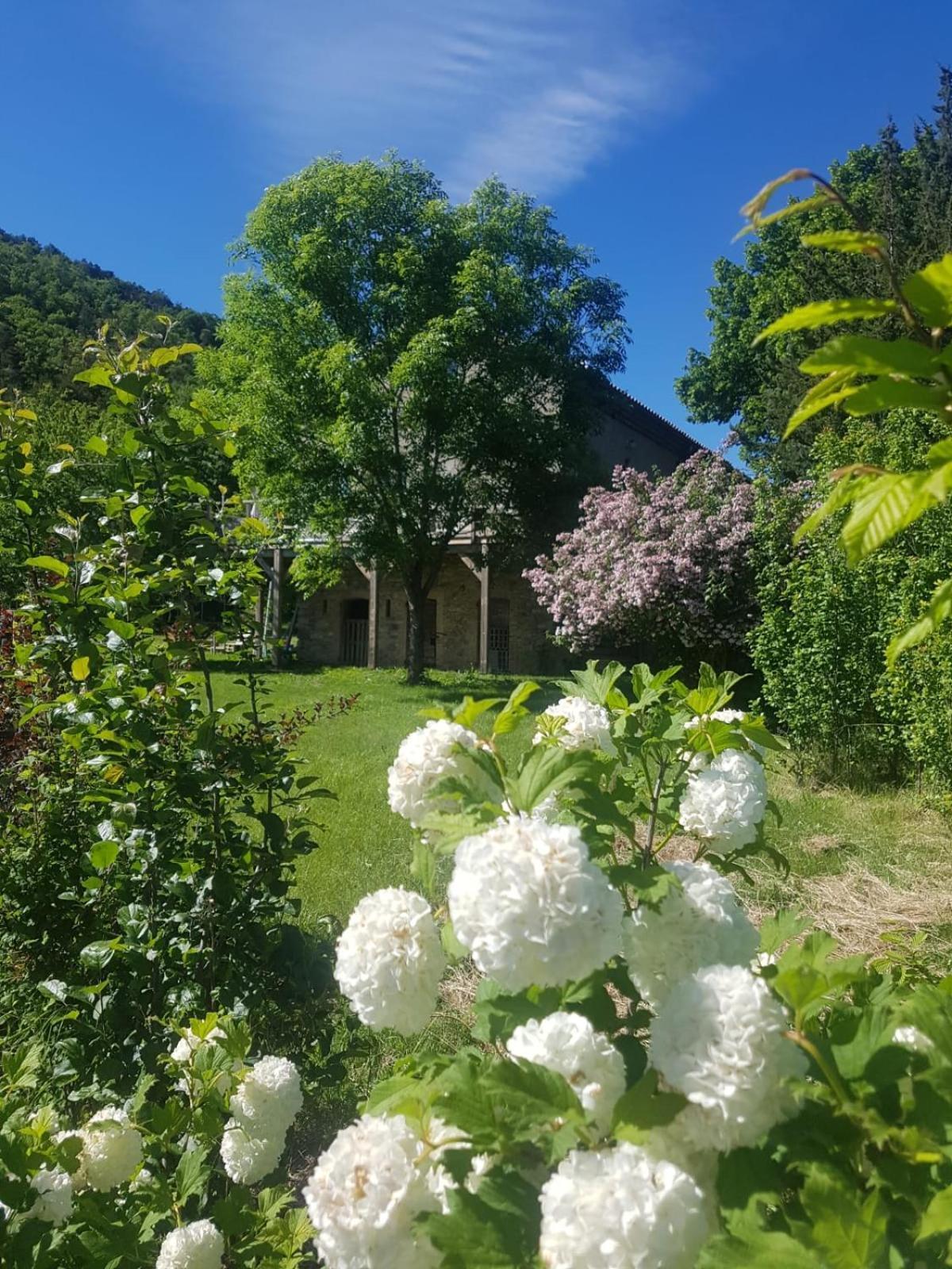 Les Gites Du Saro Chabestan 외부 사진